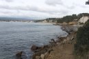 Près des Lecques : sentier du littoral
